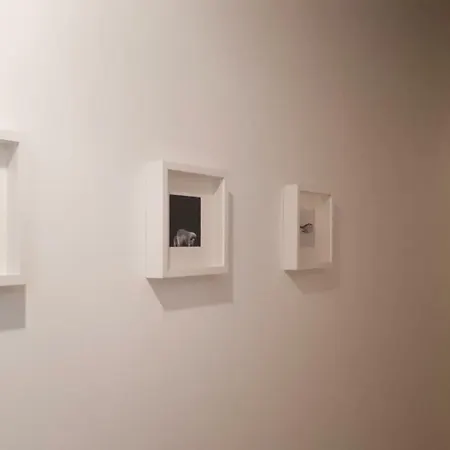 Residenza Nagler 博尔米奥